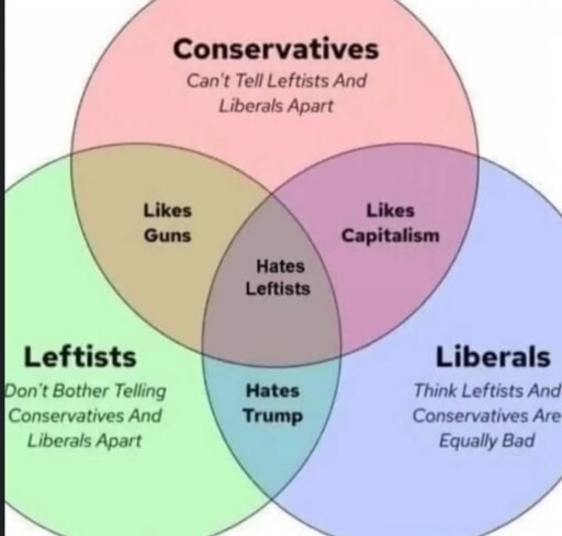 A Venn diagram comparing the political views of Conservatives, Leftists, and Liberals, highlighting their overlapping beliefs and biases regarding guns, capitalism, Donald Trump, and each other.