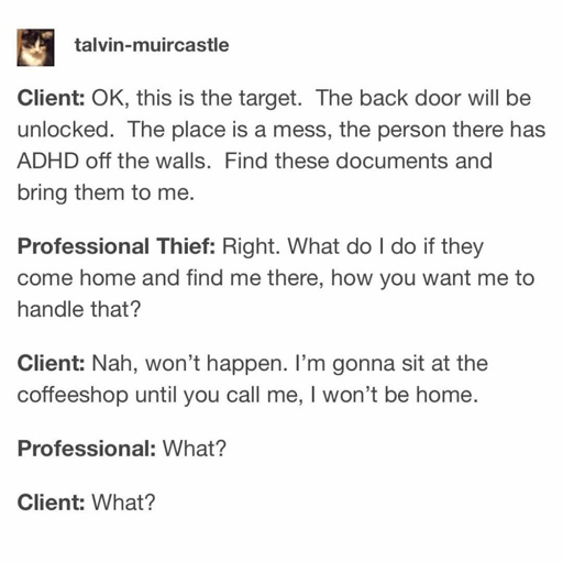 talvin-muircastle posts an imaginary conversation between a client and professional thief. Client: OK, this is the target. THe back door will be unlocked. THe place is a mess, the person there has ADHD off the walls. Find these documents and bring them to me. Professional Thief: Right. What do I do if they come home and find me there, how you want me to handle that? Client: Nah, won't happen. I'm gonna sit at the coffeeshop until you call me, I won't be home. Professional: What? Client: What?