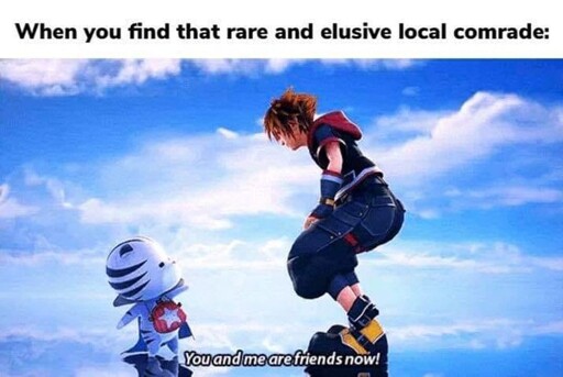 **Alt text:** A meme showing Sora from Kingdom Hearts looking down at a small white tiger character with the caption "When you find that rare and elusive local comrade:" and the subtitle "You and me are friends now!"